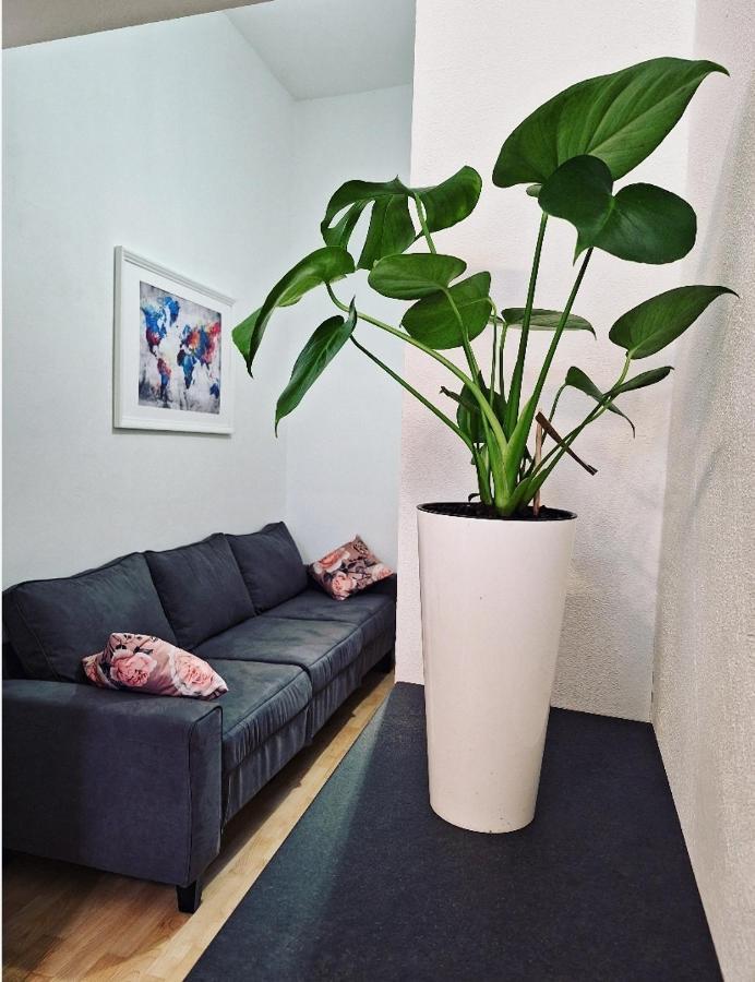 Apartment Ory 2 Between The Beach And City Center Pula Exteriör bild